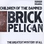 Brick Pelican (the Greatest Mystery of All)