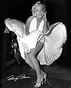 Marilyn Monroe Movie (White Dress, Seven Year Itch) Poster Print - 16" X 20"