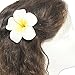DreamLily Women's Fashion 3 Pcs Hawaiian White Plumeria Flower Foam Hair Clip Balaclavas for Beach