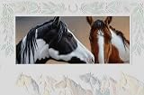 Pinto Horses Boxed Christmas Cards 
