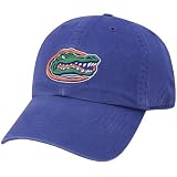 Twins Enterprise Florida Gators Royal Blue Franchise Fitted Hat