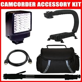 Deluxe Video Bracket + LED Video Light + Light weight Monopod + Camcorder Carrying Case + HDMI Cable for Canon Vixia HF R300, HFR300, HF-R300 Camcorder