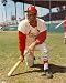 Joe Torre Autographed/Hand Signed St. Louis Cardinals 8x10 Photo