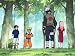 The Forest of Chakra