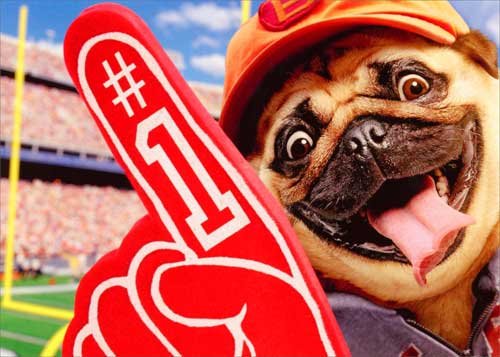 Coach Dog Avanti Funny Pug Birthday Card