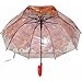 Kung Fu Smith Auto Open Kids Clear Bubble Rain Umbrella for Girls, Child Windproof Dome Plastic Stick Umbrella, Red Leaves