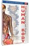 Just The Facts: The Human Body - Major Systems & Organs