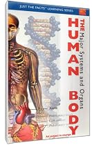 Just The Facts: The Human Body - Major Systems & Organs