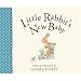 Little Rabbit's New Baby