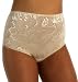  : Vanity Fair Women's Body Lace Fantasy Brief Panty   #13183