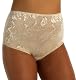 Information  Vanity Fair Women’s Body Lace Fantasy Brief Panty   #13183 Holiday Special