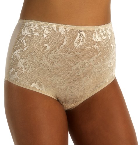 51EbrkjbLPL Vanity Fair Womens Body Lace Fantasy Brief Panty #13183