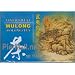 All Natural Vintage Wuyi Oolong (Wu Long) Tea - 100 Individually Wrapped Teabags - 7.0 Oz