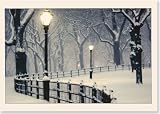 Peaceful Night Holiday Boxed Cards (Christmas Cards, Holiday Cards, Greeting Cards) (Deluxe Holiday Cards)