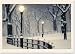 Peaceful Night Holiday Boxed Cards (Christmas Cards, Holiday Cards, Greeting Cards) (Deluxe Holiday Cards)