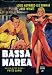 Bassa Marea