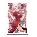 ブシロードスリーブコレクションHG (ハイグレード) Vol.157 バカとテストと召喚獣にっ! 『姫路 瑞希』