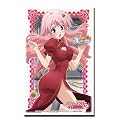 ブシロードスリーブコレクションHG (ハイグレード) Vol.157 バカとテストと召喚獣にっ! 『姫路 瑞希』