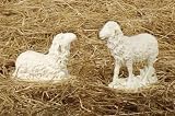 Set of 2 Josephs Studio Sheep Outdoor Christmas Nativity Statues 9.75"