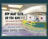 How Many Teeth Do You Have? Joshua Learns Dentistry