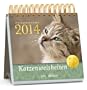 Katzenweisheiten 2014: Postkartenkalender