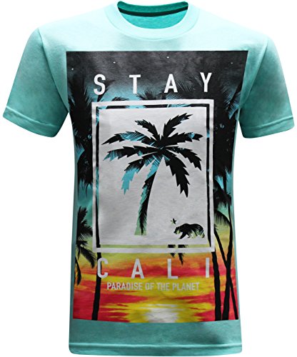 California Republic Stay Cali Men's T-Shirt - (X-Large) - Aqua