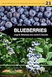 Blueberries