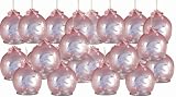 Amber Dolphin Christmas Tree Hanging Ornaments Set of 24