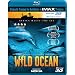 Wild Ocean (IMAX) (3D)  (Bilingual) [Blu-ray]