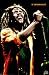Bob Marley Poster 22X34 Portrait Rasta Reggae Poster Print, 22x34 Music Poster Print, 22x34