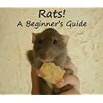Rats! A Beginner's Guide