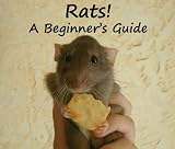 Rats! A Beginner's Guide