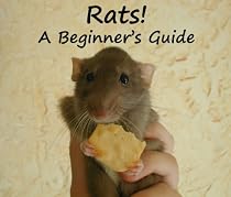 Rats! A Beginner's Guide