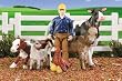 Breyer Stablemates Farm Play Set