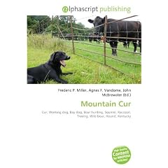 Mountain Cur