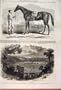 Jonathas Race Horse Fontainbleau Stakes Racecourse 1862
