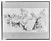 Historic Print (L): [Benjamin Harrison, asthma cure, rough on asthma]