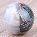 banshren® Natural Carved 50mm Bloodstone Sphere Ball Healing Crystal