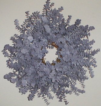 26" Eucalyptus Wreath