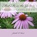 Books : Meet Me in the Garden: Reflections on a Journey with God