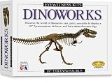 Eyewitness Kit: Dinoworks Trex