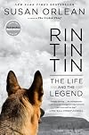 Rin Tin Tin