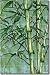 Bamboo Stalks by Paned Expressions Studios - Tropical Plant Ceramic Tile Mural 38.25 x 25.5 Kitchen Shower Backsplash