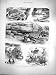 1877 Angling Fishing Nova Scotia River Boats Rods Print