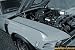 MUSTANG BOSS 302 PHOTO 8 1/2 X 11 PHOTOGRAPH