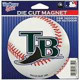 Tampa Bay Devil Rays - Baseball Logo In/Out Magnet MLB Pro Baseball