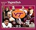 Virginia Tech Football Vault