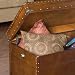 Southern Enterprises Steamer Trunk Cocktail Table