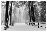 Winter Country Lane Michigan by Anonymous. Art Print Poster 56 inches width by 38 inches height. Highest Quality Art Poster Print