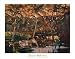 Reflections Finest LAMINATED Print Darrell Hill 46x36